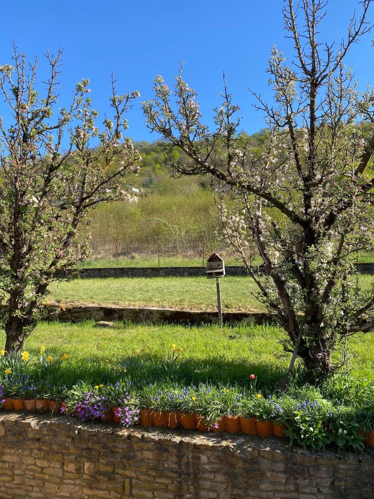 Le Nid - Maison Proche De La Foret Frouard ภายนอก รูปภาพ